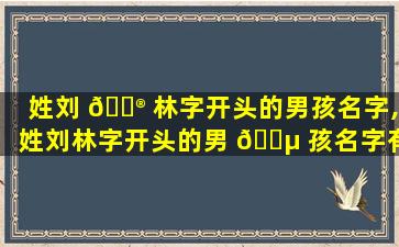姓刘 💮 林字开头的男孩名字,姓刘林字开头的男 🌵 孩名字有哪些